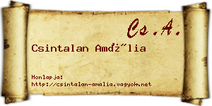 Csintalan Amália névjegykártya